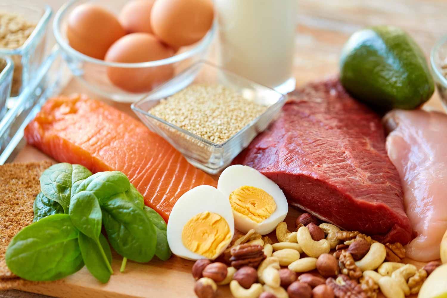 why protein matters