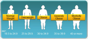 BMI Weight Obesity Scale